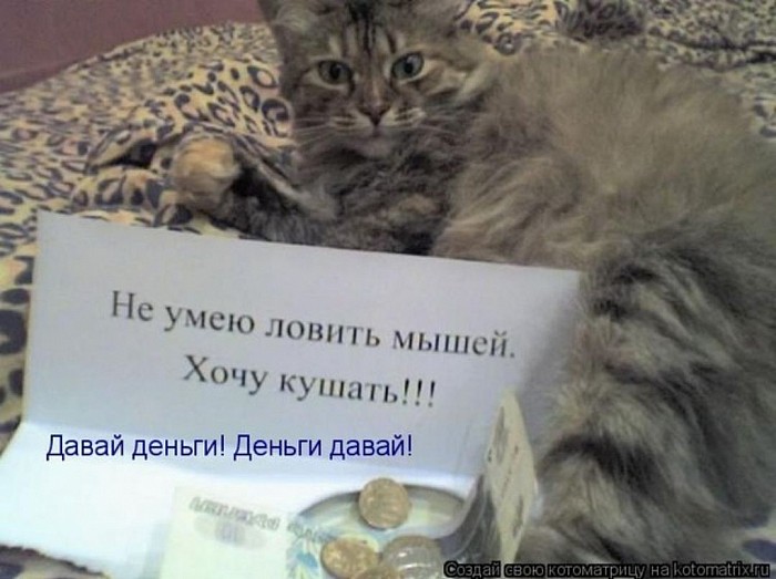 Погорельцев Андрей Игоревич  ИНН 782573185958